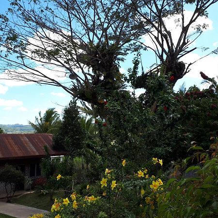 Villa Del Carmen Haven Bohol Exterior foto