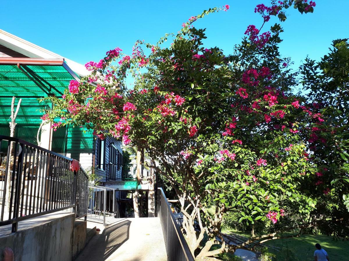 Villa Del Carmen Haven Bohol Exterior foto