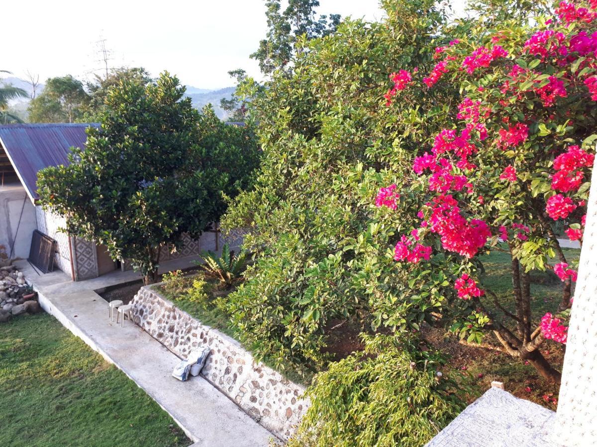 Villa Del Carmen Haven Bohol Exterior foto
